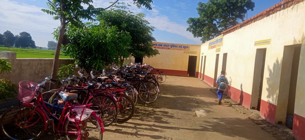 School